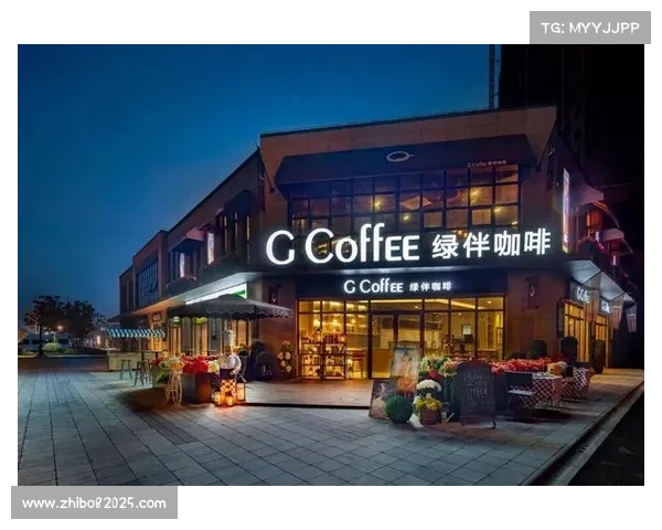 国际综合格斗训练基地在深圳南山筹建，助力项目标准化发展