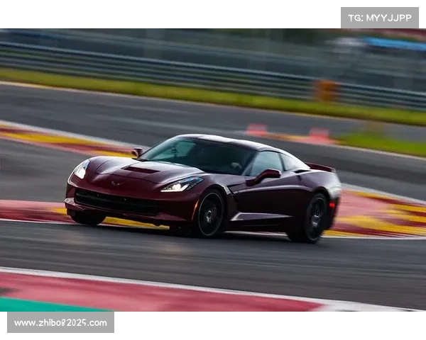 科尔蒂纳赛道弯道数据库：选手赛前模拟训练依据